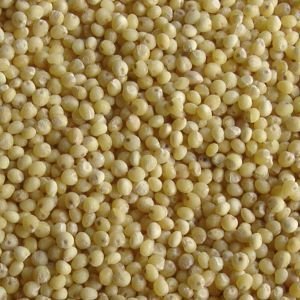 Organic Millet 5lb - Click Image to Close