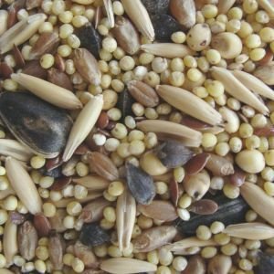 NewSong Bird Organic Cockatiel & Small Parrot Seed - Click Image to Close